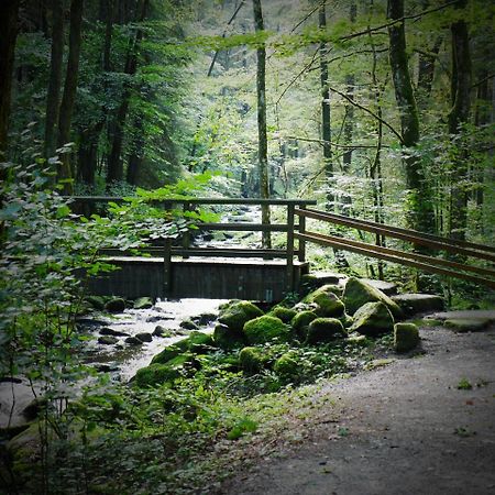 Fewo Kedo Neukirchen vorm Wald Eksteriør bilde
