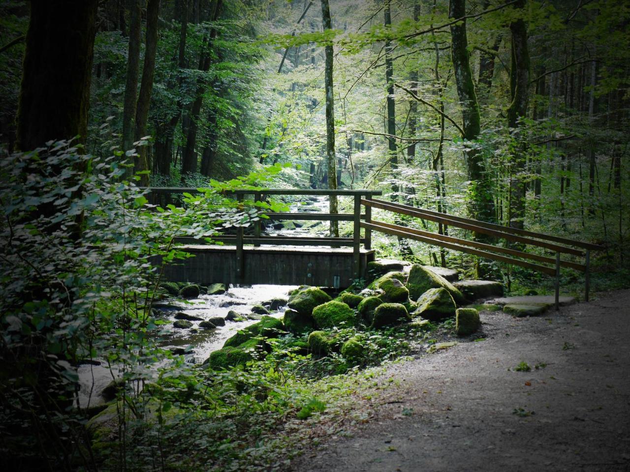 Fewo Kedo Neukirchen vorm Wald Eksteriør bilde