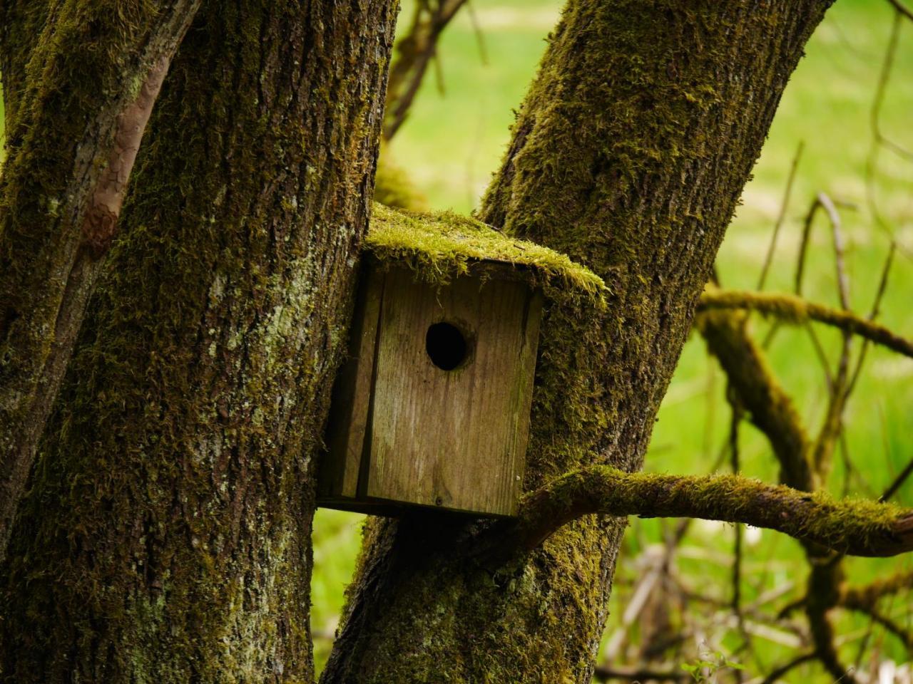 Fewo Kedo Neukirchen vorm Wald Eksteriør bilde