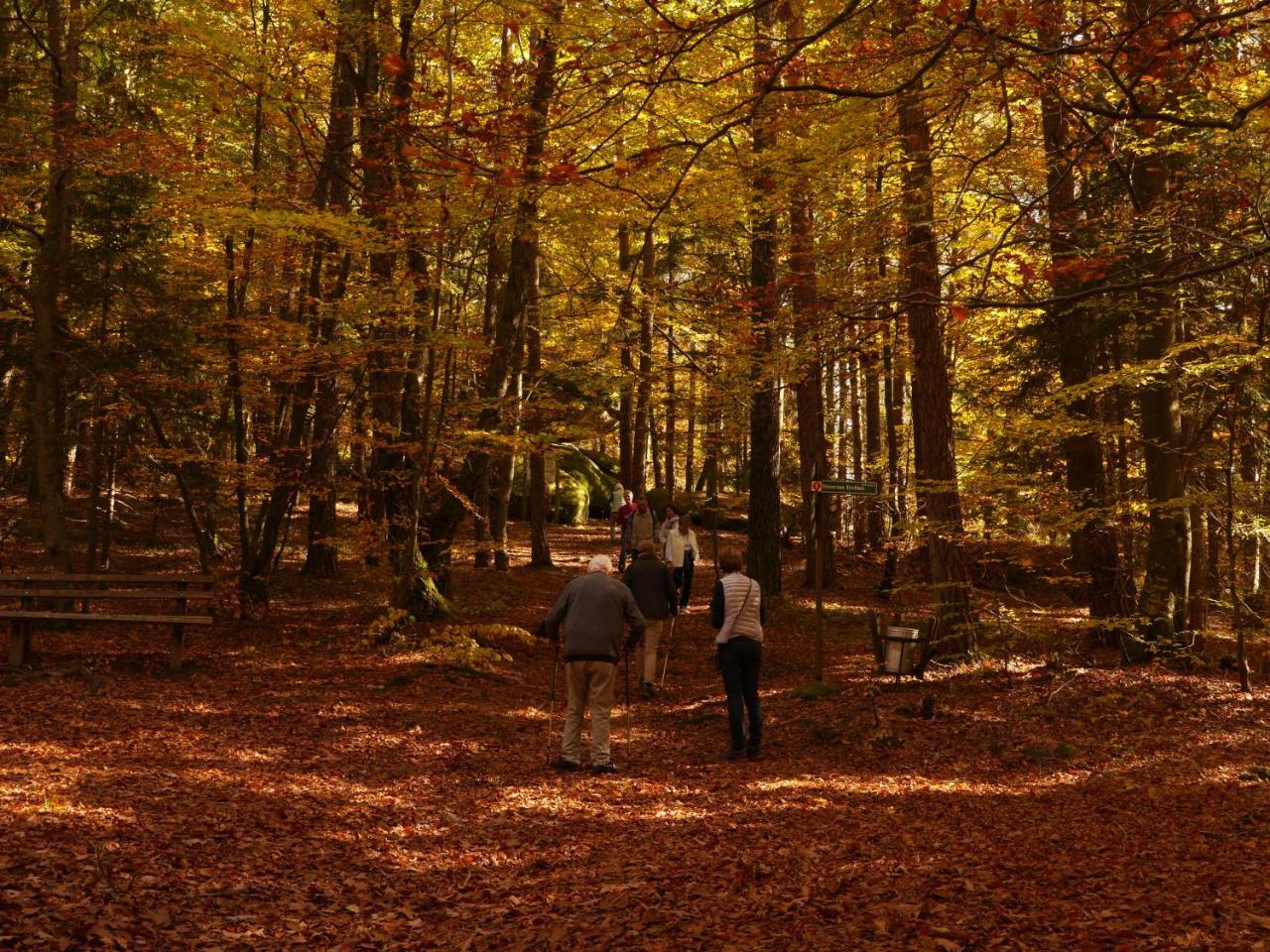 Fewo Kedo Neukirchen vorm Wald Eksteriør bilde