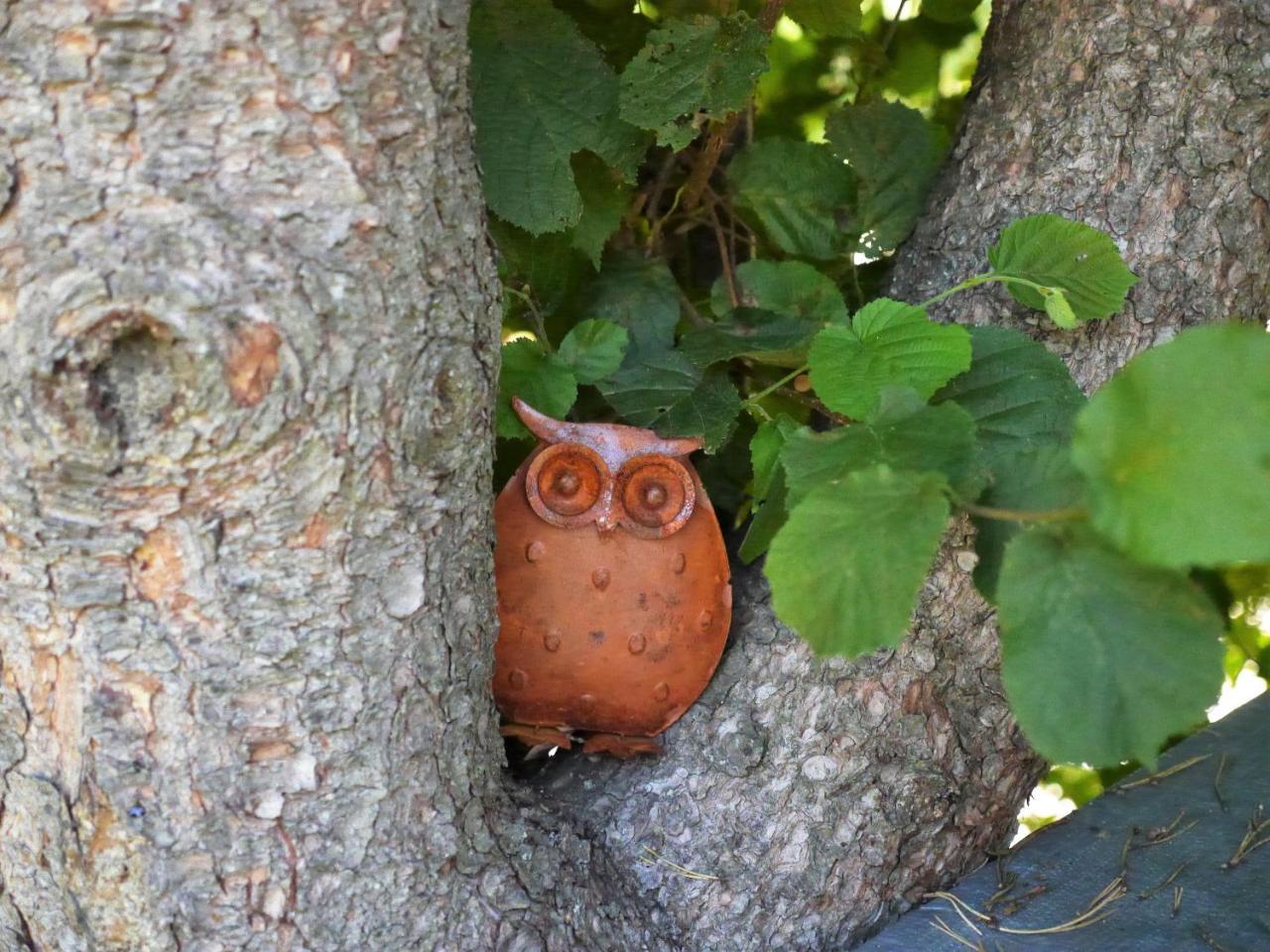 Fewo Kedo Neukirchen vorm Wald Eksteriør bilde